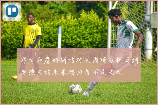 邓肯和詹姆斯的对决周琦分析马刺与热火的未来潜力与不足之处